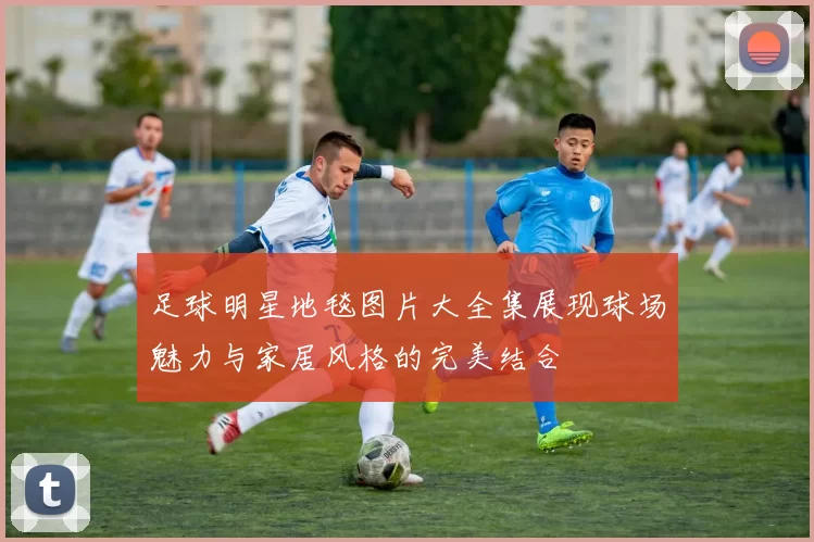 足球明星地毯图片大全集展现球场魅力与家居风格的完美结合