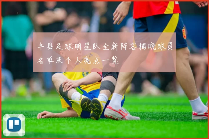 丰县足球明星队全新阵容揭晓球员名单及个人亮点一览