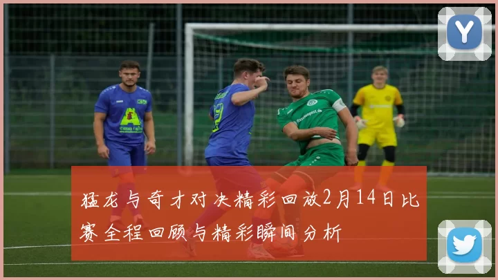猛龙与奇才对决精彩回放2月14日比赛全程回顾与精彩瞬间分析