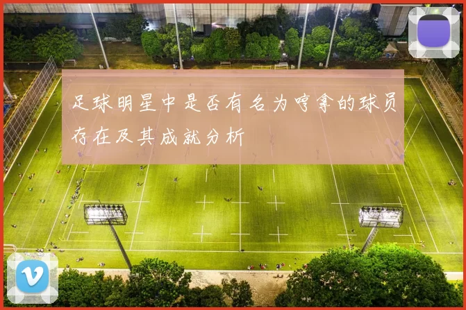 足球明星中是否有名为哼拿的球员存在及其成就分析