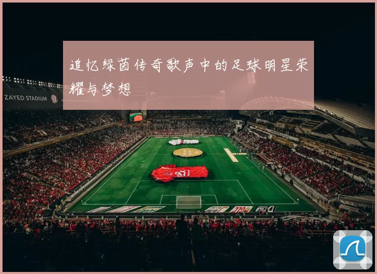 追忆绿茵传奇歌声中的足球明星荣耀与梦想