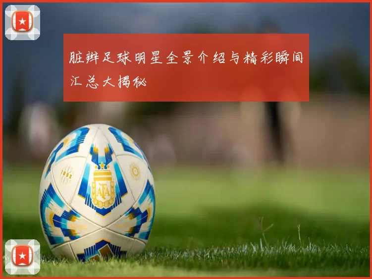 脏辫足球明星全景介绍与精彩瞬间汇总大揭秘