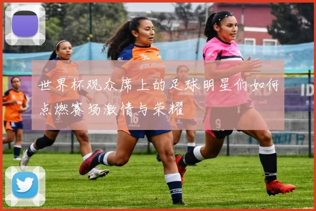 世界杯观众席上的足球明星们如何点燃赛场激情与荣耀